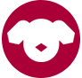 Dog Boarding