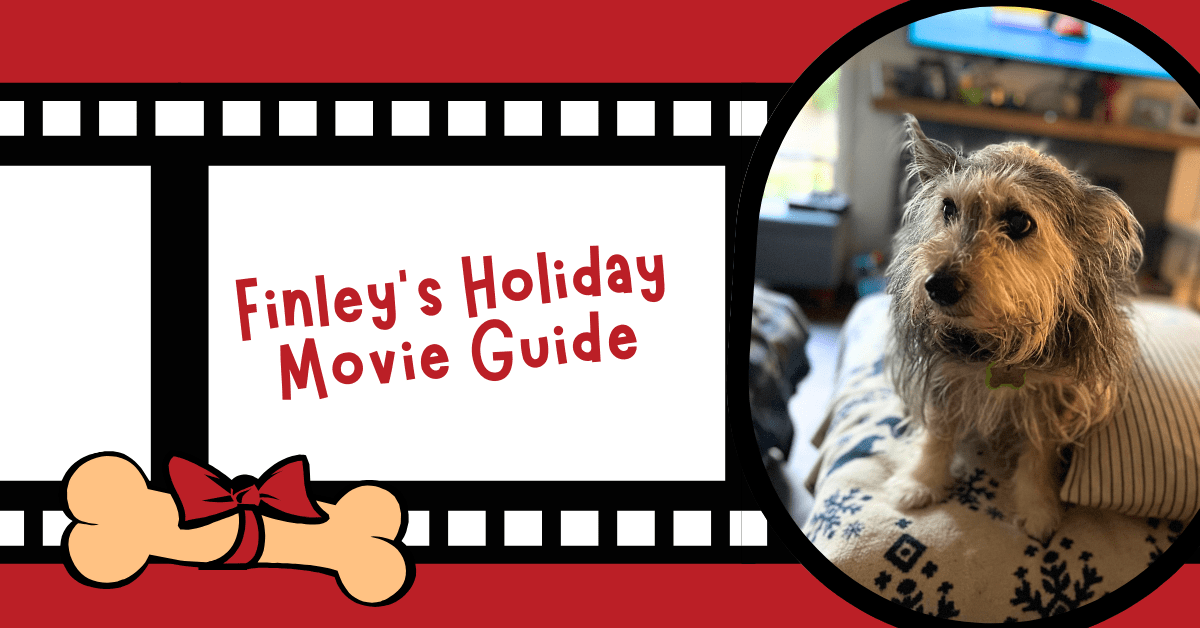 Finley writes A Dog's Guide to the Bestest Holiday Movies for Cascade Kennels